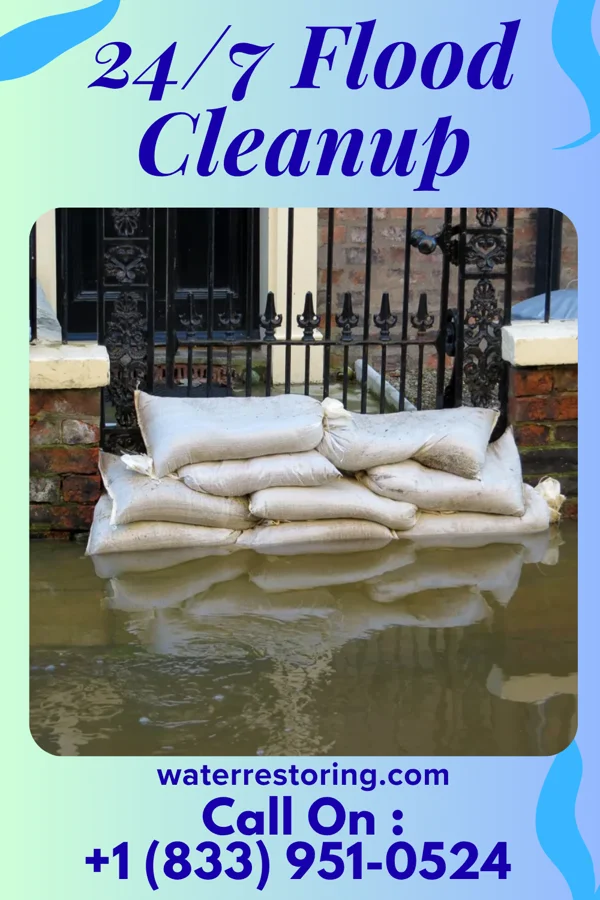 24/7 Flood Cleanup in Lone Star, TX