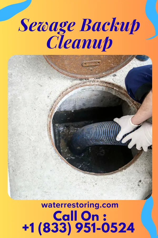 Sewage Backup Cleanup in Lone Star, TX