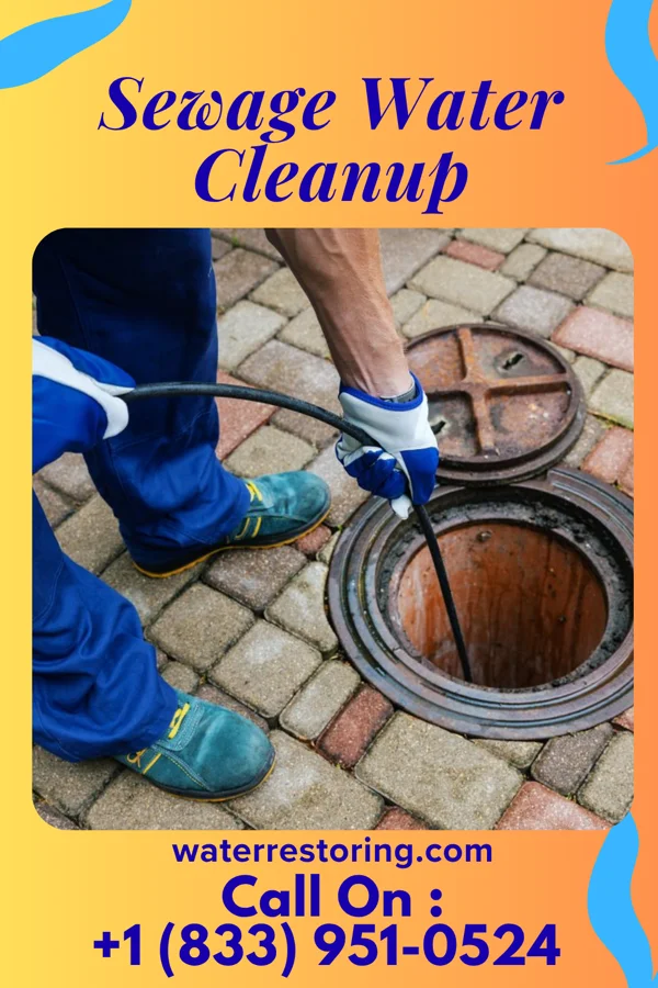 Sewage Water Cleanup in Lone Star, TX